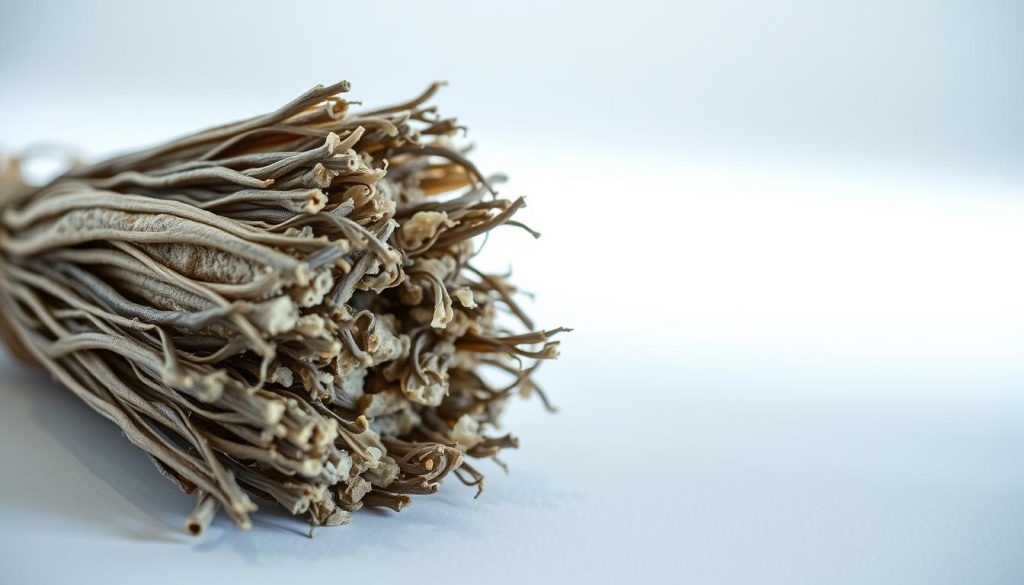 A well-lit, close-up shot of a natural moisture-absorbing material, such as a bundle of dried seaweed or a block of porous mineral-rich rock. The object should be positioned prominently in the foreground, with a soft, diffused lighting setup that accentuates its organic textures and subtle shades of gray, beige, and earthy tones. The background should be a simple, clean backdrop, perhaps a plain white or lightly tinted surface, to keep the focus on the moisture-absorbing material and its inherent qualities. The overall composition should convey a sense of simplicity, functionality, and natural elegance, reflecting the practical DIY solution for addressing persistent dampness in household walls.